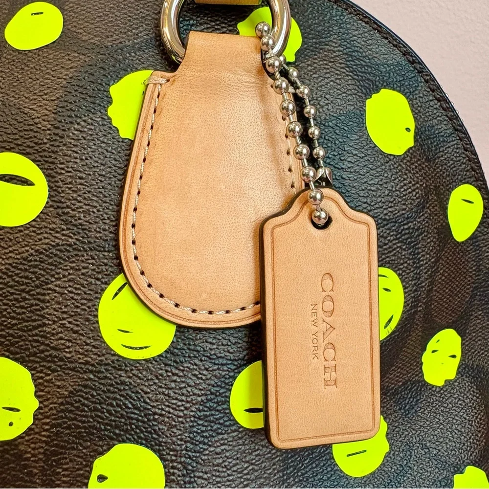 Coach dome satchel